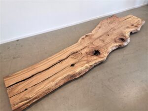 massivholz-tischplatte-am stueck-baumplatte-asteiche_K11 (11)